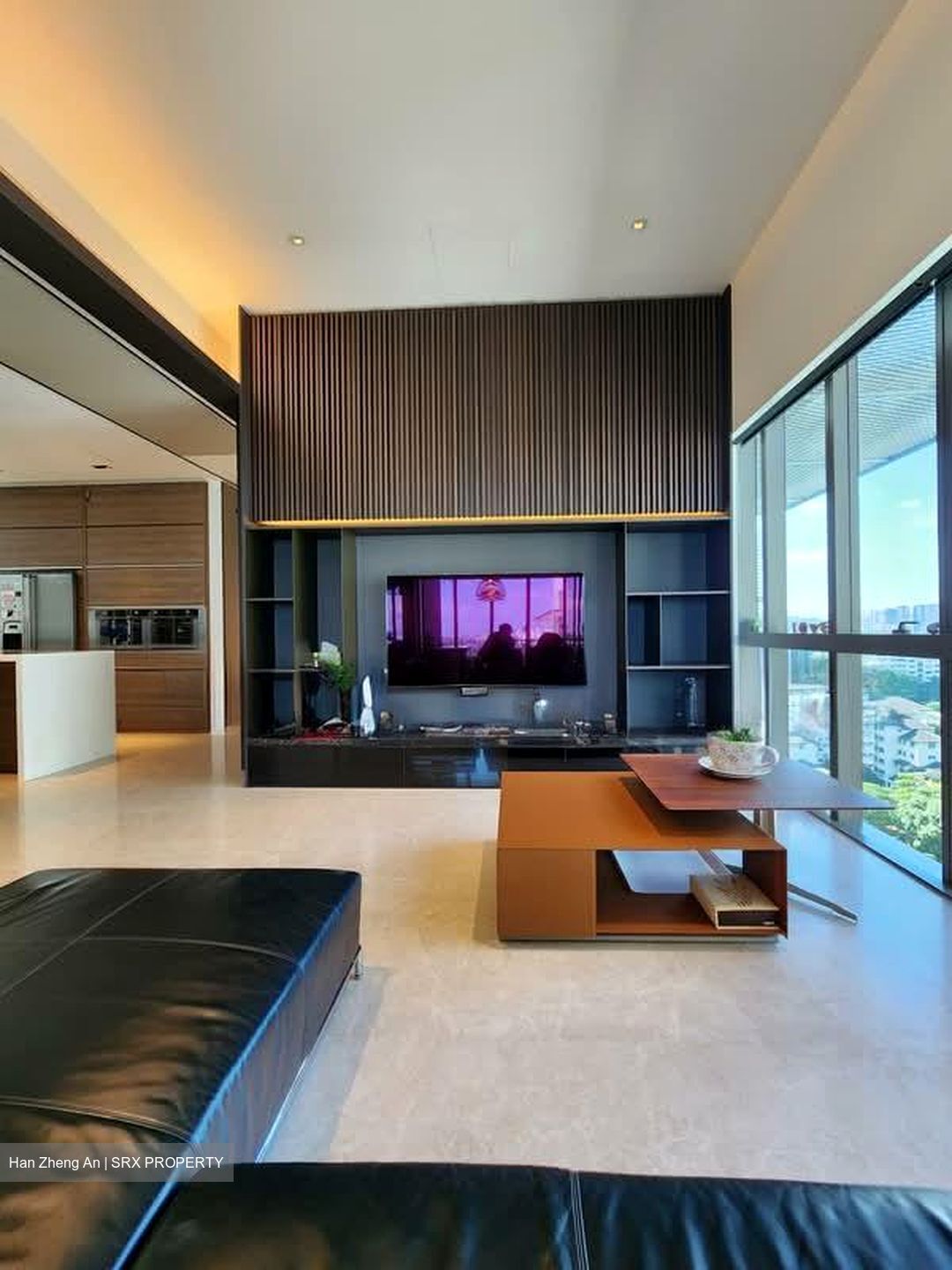 Leedon Residence (D10), Condominium #566585941